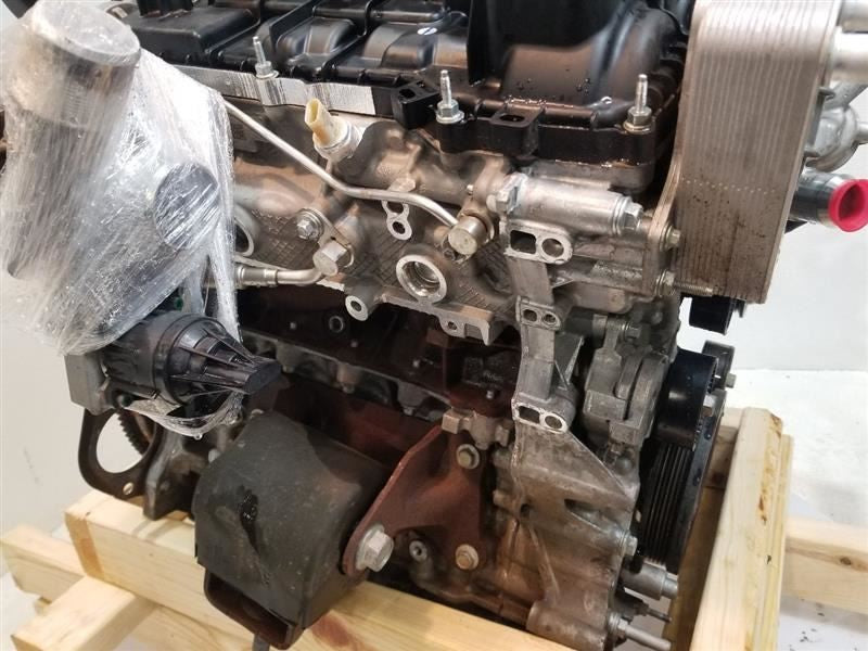 F150      2021 Engine 558738