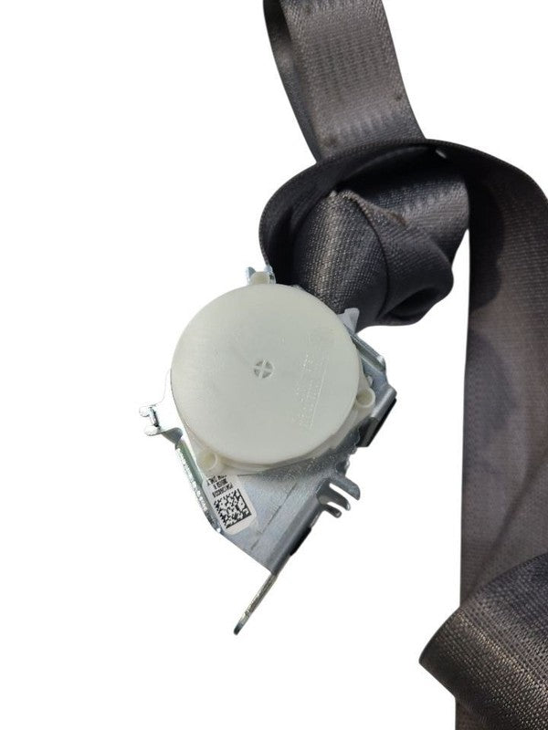 SILVRDO15 2015 Seat Belt Rear 643794
