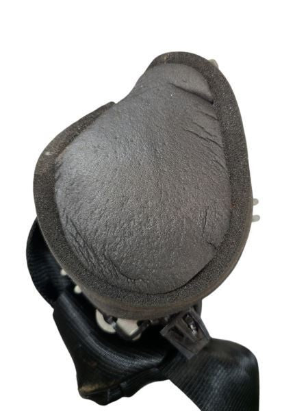 FOCUS     2017 Seat Belt Rear 601039