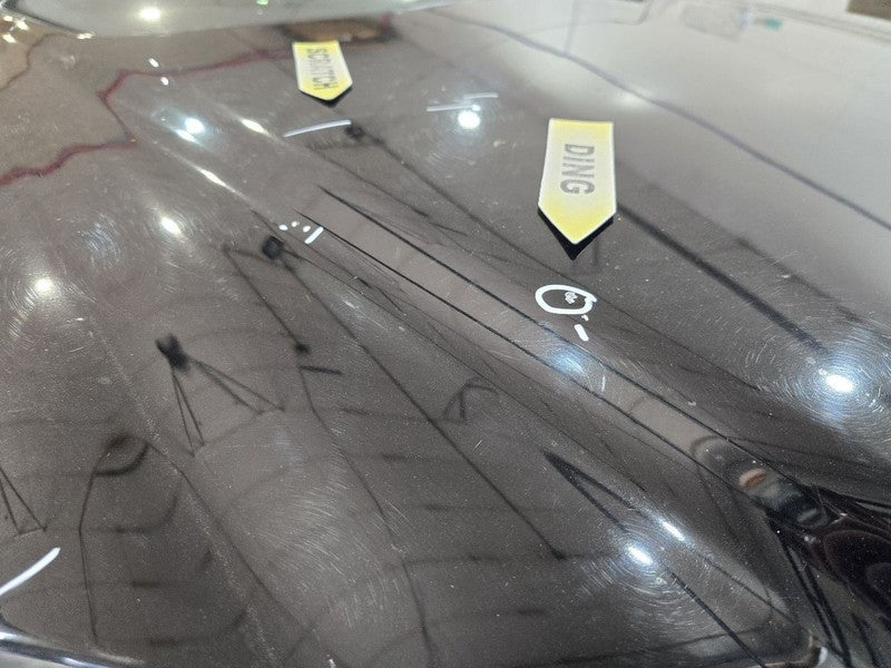 Hood 220 Type S430 Fits 00-02 MERCEDES S-CLASS 628952