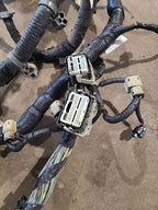 TAURUS    2012 Engine Wire Harness 597437