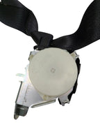 SIEDENALI 2010 Seat Belt Rear 613151