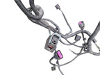 ENCORE    2016 Lamp Wiring Harness 580768