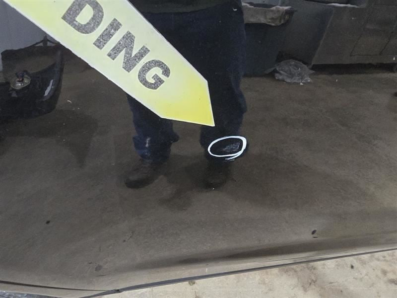 Passenger Right Rear Side Door Without Solar Fits 13-16 SRX 592345