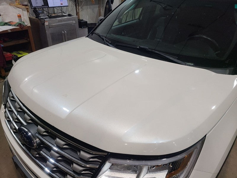 Hood Fits 16-19 EXPLORER 666128