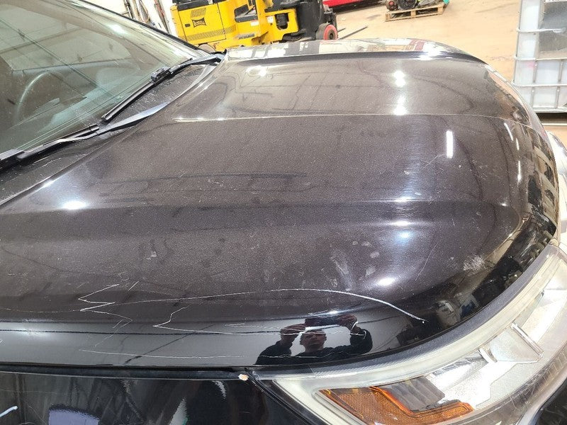 Hood Fits 16-19 EXPLORER 663598