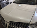 Hood Fits 10-19 MKT 643854