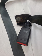 OPTIMAKIA 2016 Seat Belt Rear 605473