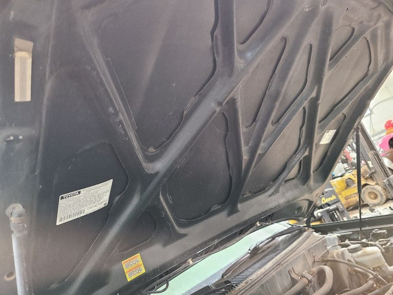 Hood Fits 01-07 SEQUOIA 677109