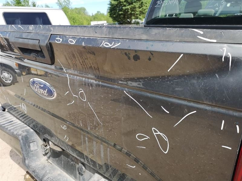 Trunk/Hatch/Tailgate Without Tailgate Step Fits 15-17 FORD F150 PICKUP