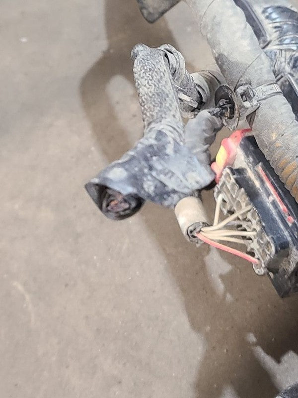 RAM15NEW  2019 Lamp Wiring Harness 660218