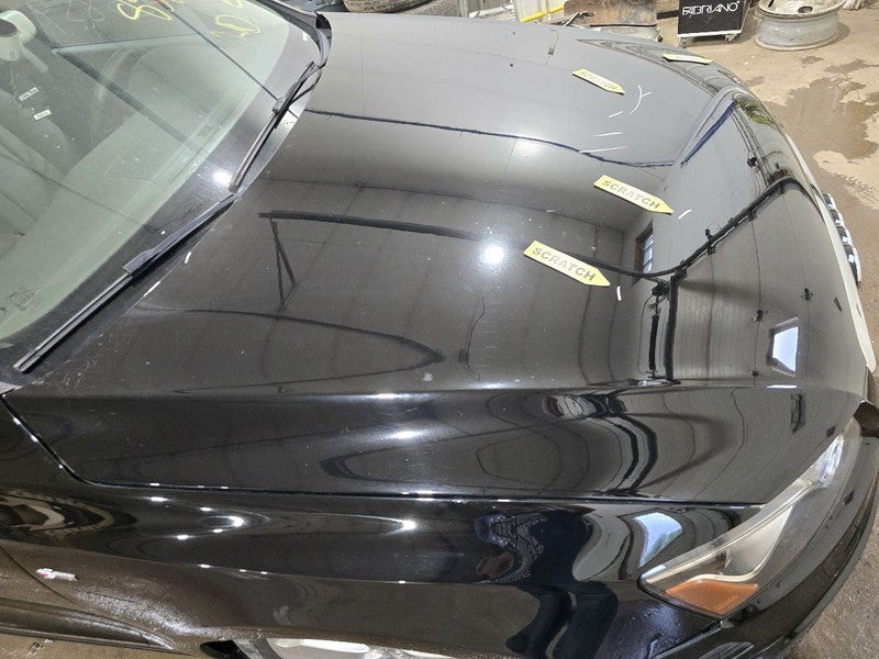 Hood Fits 09-12 AUDI Q5 634667