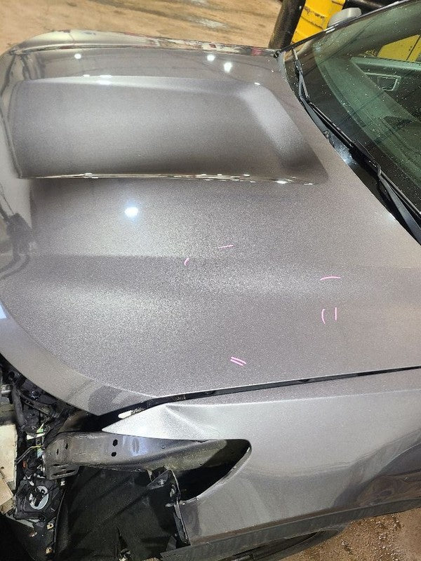Hood Fits 20-24 EXPLORER 657572