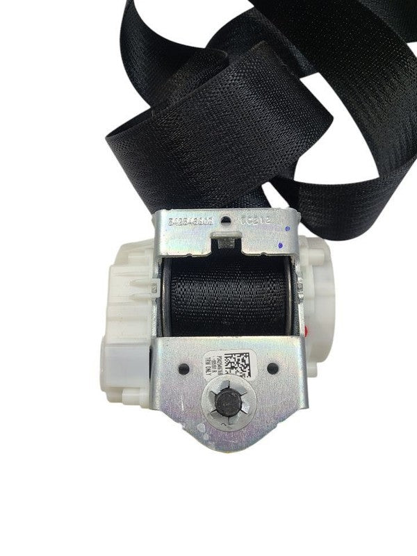 F150      2019 Seat Belt Rear 615844