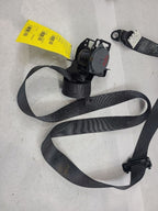 LS460     2008 Seat Belt Rear 606207