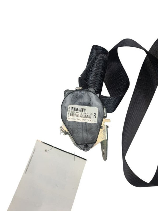 ENCLAVE   2010 Seat Belt Rear 615320