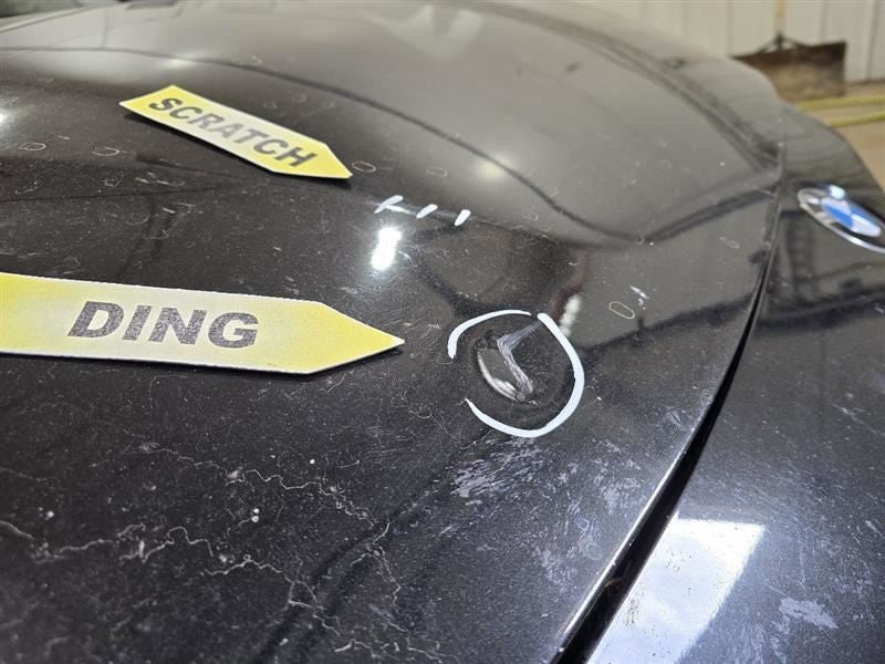 Hood Fits 12-18 BMW 320i 604475