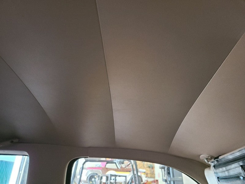 T100      1996 Headliner 676236