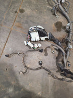 GS350     2007 Engine Wire Harness 620290