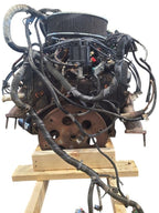 Engine 8-454 7.4L VIN N 8th Digit Fits 94-96 CHEVROLET 30 VAN 679438