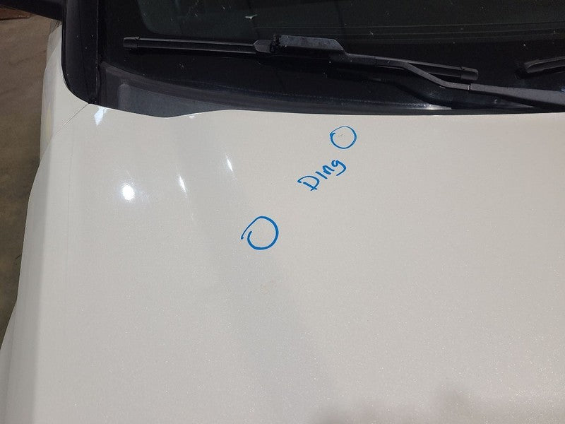 Hood Fits 16-19 EXPLORER 666128