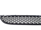 Grille Lower Fits 14-18 PROMASTER 1500 VAN 596962