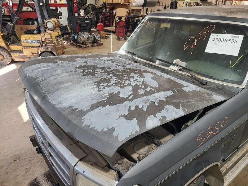 Hood From 8501 GVW Fits 92-97 FORD F250 PICKUP 648847