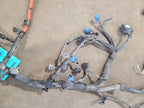 TACOMA    1998 Engine Wire Harness 673198