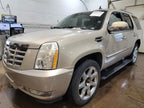 Passenger Tail Light Without Premium Collection Fits 07-14 ESCALADE 56