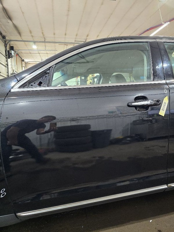 Driver Front Door Electric Lower Side Moulding Fits 09-16 MKS 630452
