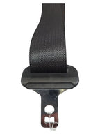 TAURUS    2012 Seat Belt Rear 597356