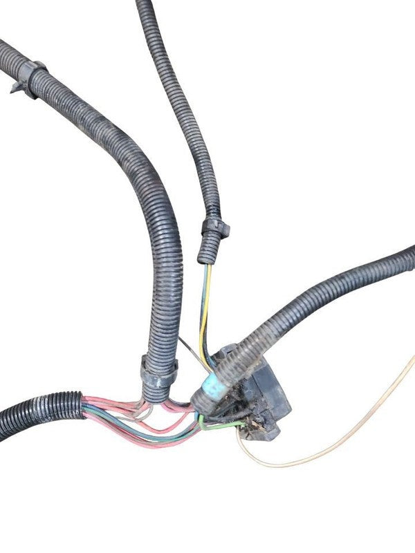 CUSTOM-SW 1978 Lamp Wiring Harness 647945