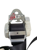 SILVRDO25 2011 Seat Belt Rear 610168