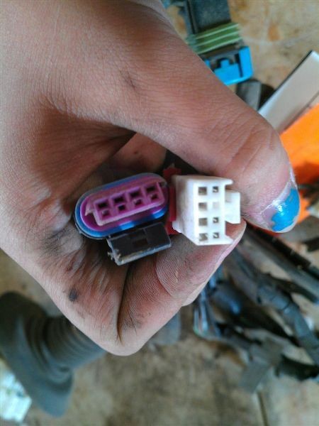 Body wire harness