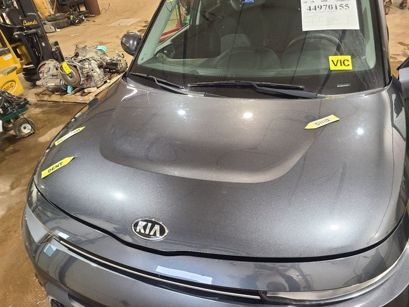 Hood Fits 20-21 SOUL 669246