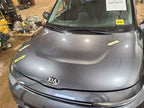 Hood Fits 20-21 SOUL 669246