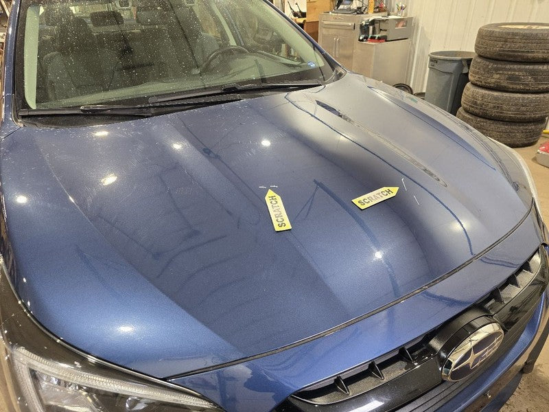 Hood Fits 20-23 LEGACY 626886