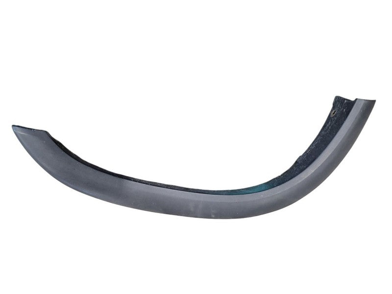 4 RUNNER  1999 Fender Flare/Extension 667862