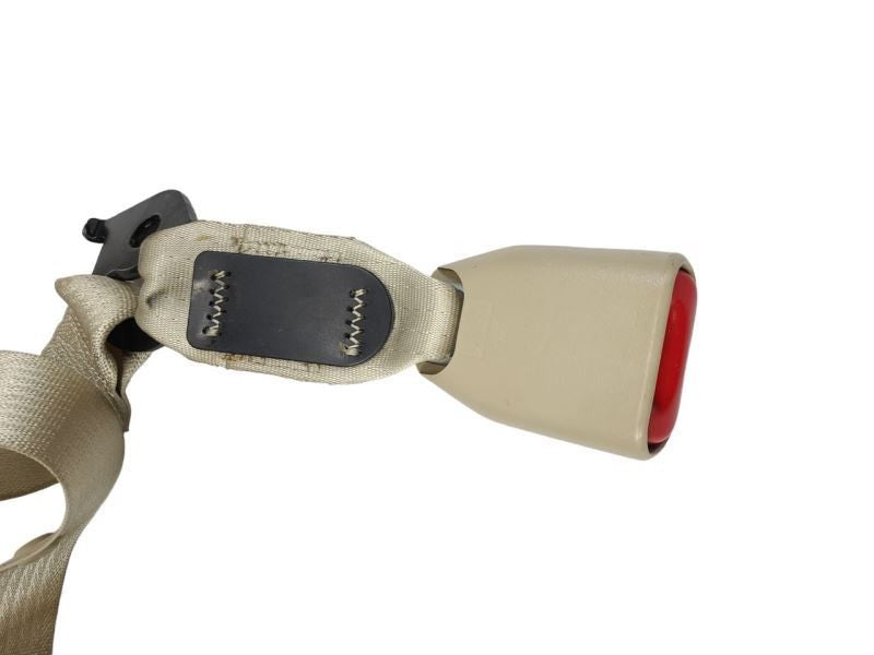 TAURUS    2015 Seat Belt Rear 585603
