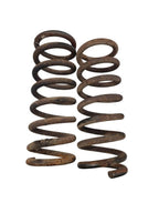 Air/Coil Spring Front Fits 75-80 MONZA 617184