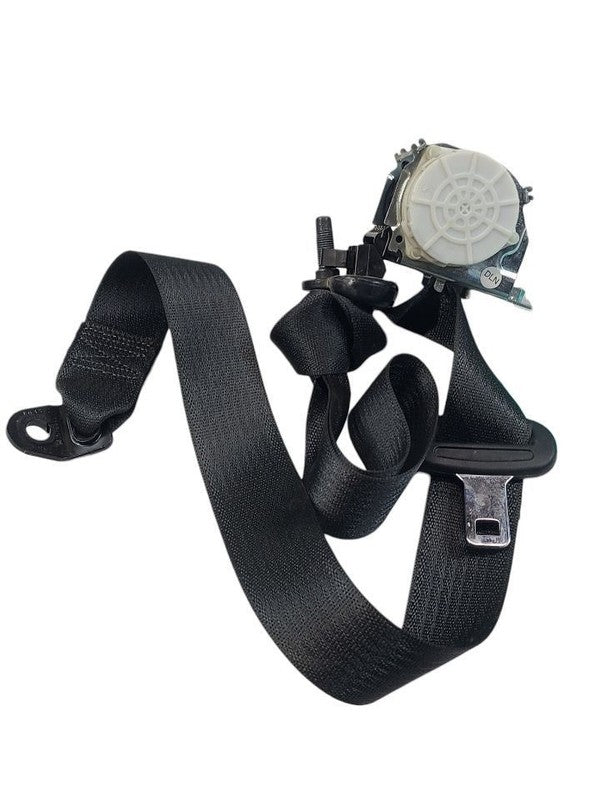 RAM15NEW  2019 Seat Belt Rear 660180