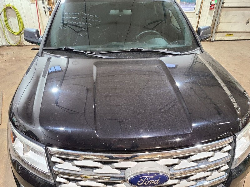 Hood Fits 16-19 EXPLORER 663598