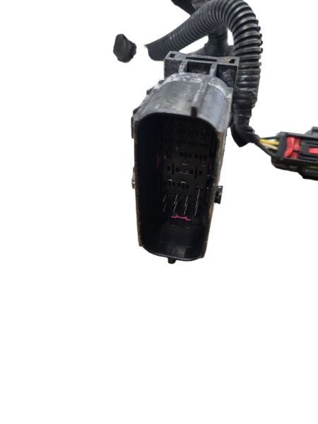 ESCALAESV 2017 Lamp Wiring Harness 590734