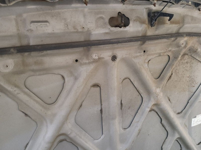 Hood Fits 01-07 SEQUOIA 667715