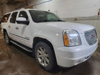 2010 DENALI XL Amplifier Speakers   384272