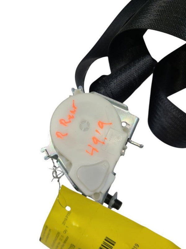 F150      2019 Seat Belt Rear 615844