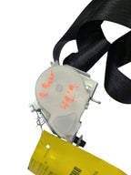 F150      2019 Seat Belt Rear 615844