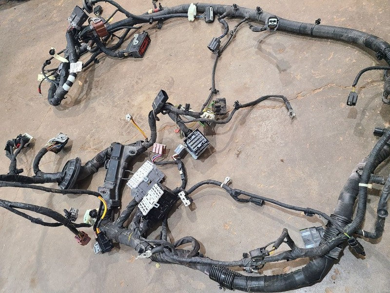 EXPEDITON 2022 Body Wire Harness 679706