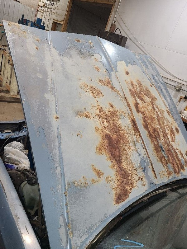 Hood Fits 81-88 MONTE CARLO 649160