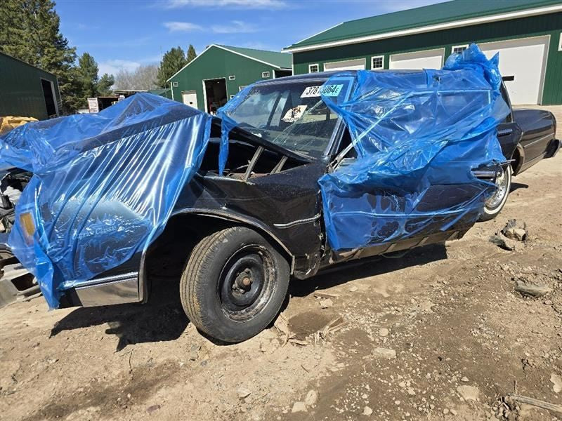 CAPRICE   1985 Seat Belt Rear 580652